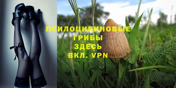 бутират Алзамай