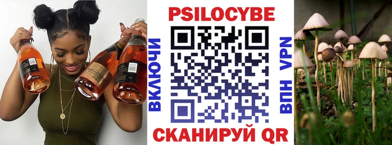Галлюциногенные грибы Psilocybe  KRAKEN сайт  Тулун  купить наркотик 